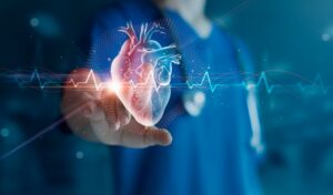 cardiologist doctor examine patient heart functions and blood ve